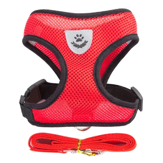 Coleira para Gatos e Cães – Colete de Caminhada com Guia Ajustável de Malha para Animais Pequenos e Médios