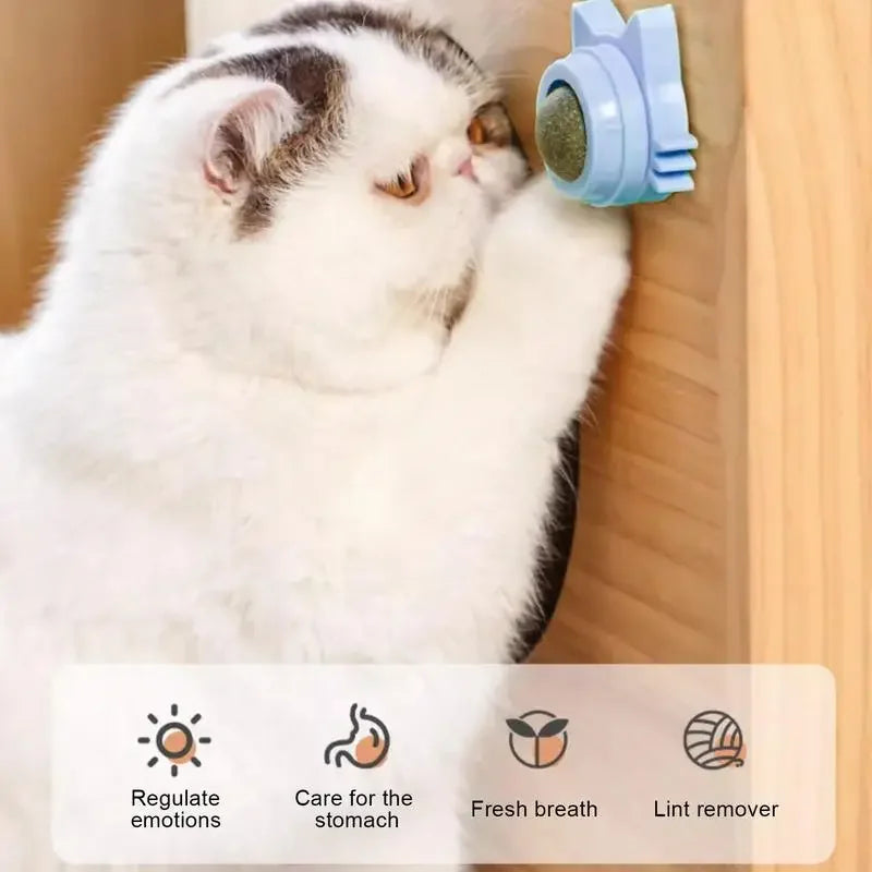 Bolinhas de Catnip para Gato - Brinquedo Divertido e Lickable