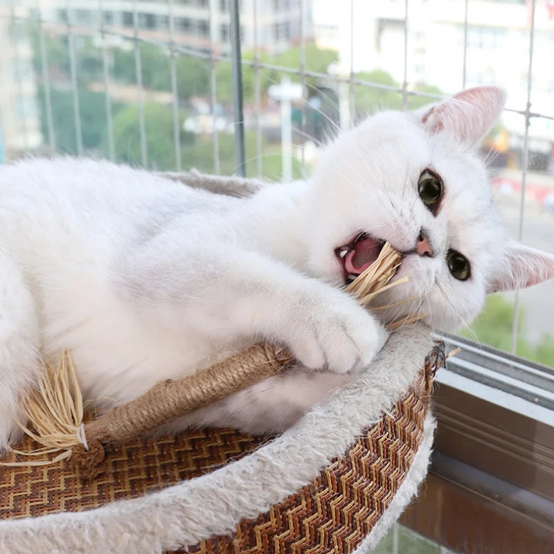 Peça de Brinquedo para Gatos - Bastão de Mastigar de Silvervine, Polygonum, Grama de Raffia, Suprimentos para Animais de Estimação, Bastão para Limpeza de Dentes, Brinquedo de Mastigar para Gatos com Corda de Cânhamo.