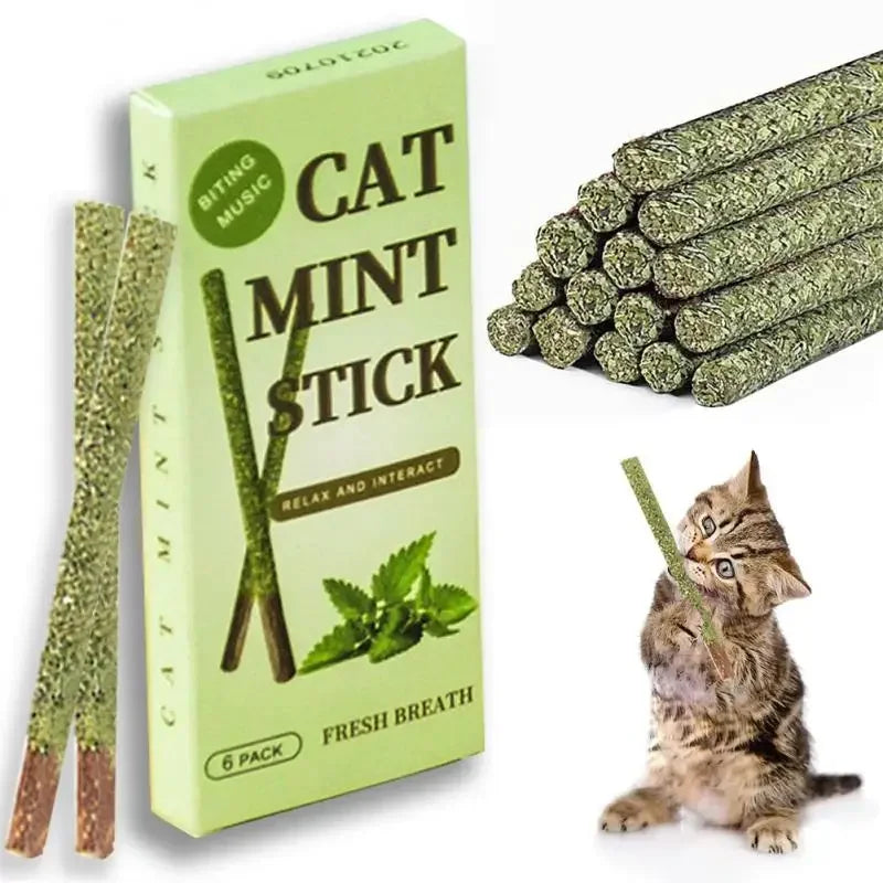 6 Peças de Bastões Naturais de Matatabi para Gatos – Vara de Hortelã Silvervine para Limpeza Dental e Brincadeiras
