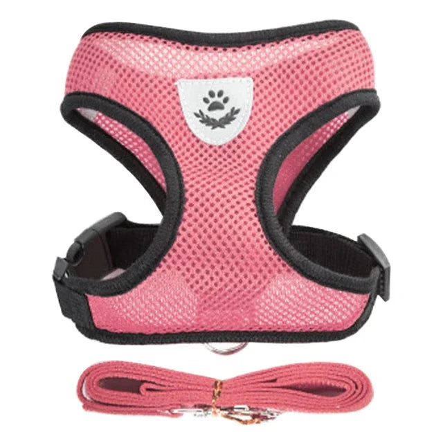 Coleira para Gatos e Cães – Colete de Caminhada com Guia Ajustável de Malha para Animais Pequenos e Médios