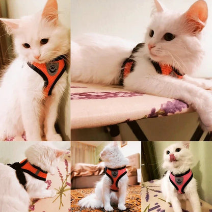 Coleira para Gatos e Cães – Colete de Caminhada com Guia Ajustável de Malha para Animais Pequenos e Médios