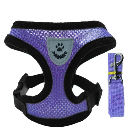 Coleira para Gatos e Cães – Colete de Caminhada com Guia Ajustável de Malha para Animais Pequenos e Médios