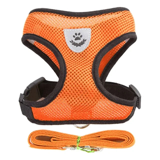 Coleira para Gatos e Cães – Colete de Caminhada com Guia Ajustável de Malha para Animais Pequenos e Médios