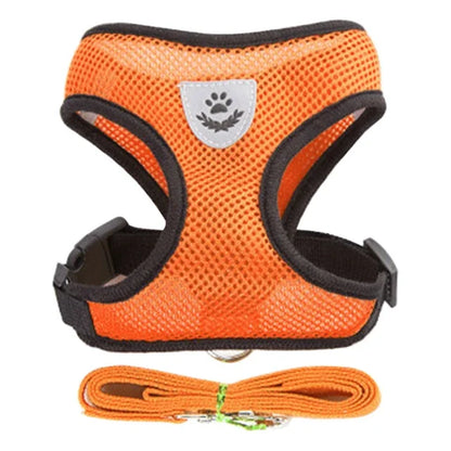 Coleira para Gatos e Cães – Colete de Caminhada com Guia Ajustável de Malha para Animais Pequenos e Médios