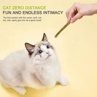 6 Peças de Bastões Naturais de Matatabi para Gatos – Vara de Hortelã Silvervine para Limpeza Dental e Brincadeiras