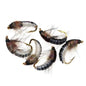 Conjunto de Iscas Artificiais para Pesca - 6 Peças (Nymph Scud Realista para Truta)