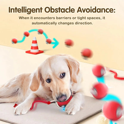 Brinquedo Interativo para Gatos - Bola Automática com Cauda, Recarga USB, Brinquedo Inteligente para Estímulo e Diversão do Pet