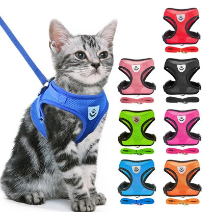 Coleira para Gatos e Cães – Colete de Caminhada com Guia Ajustável de Malha para Animais Pequenos e Médios