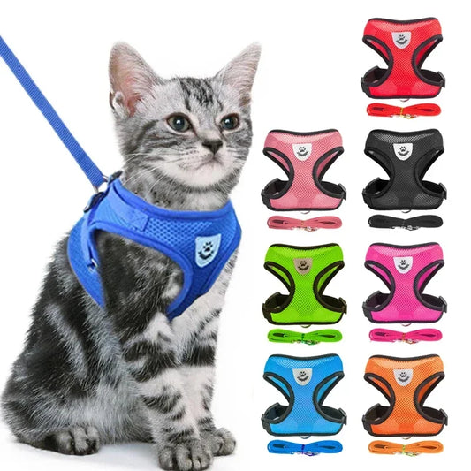 Coleira para Gatos e Cães – Colete de Caminhada com Guia Ajustável de Malha para Animais Pequenos e Médios