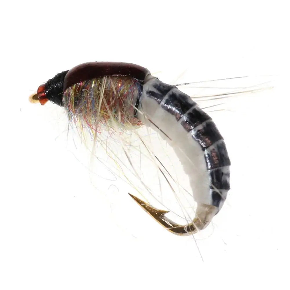 Conjunto de Iscas Artificiais para Pesca - 6 Peças (Nymph Scud Realista para Truta)