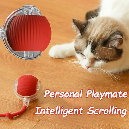 Brinquedo Interativo para Gato - Bola Automática com Cauda Falsa, Recarregável, Inteligente e Elétrica