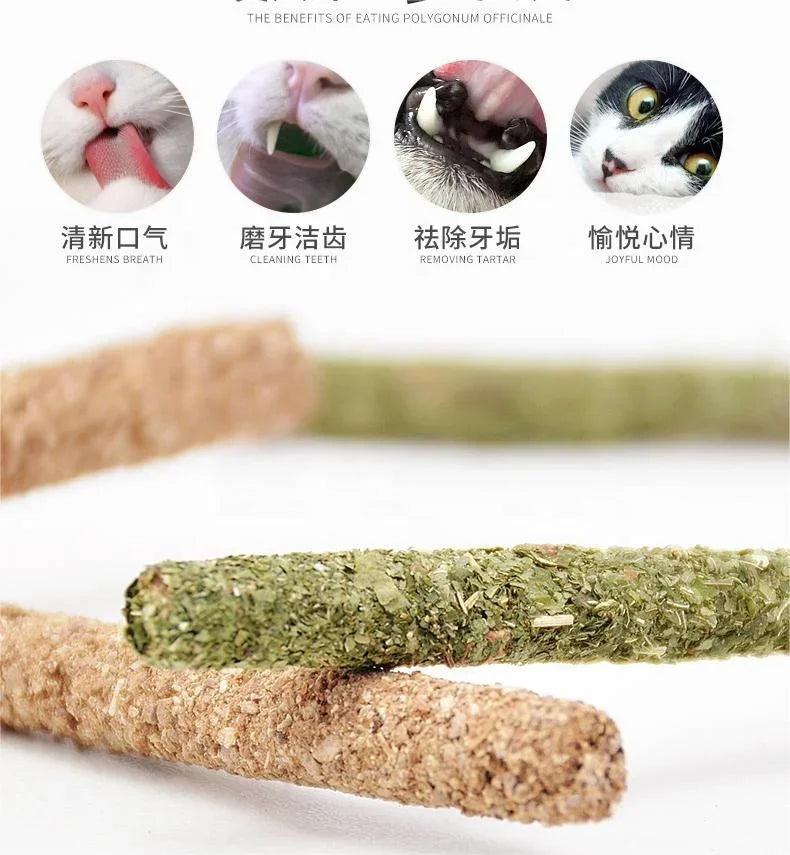 6 Peças de Bastões Naturais de Matatabi para Gatos – Vara de Hortelã Silvervine para Limpeza Dental e Diversão do Gato