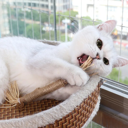 Peça de Brinquedo para Gatos - Bastão de Mastigar de Silvervine, Polygonum, Grama de Raffia, Suprimentos para Animais de Estimação, Bastão para Limpeza de Dentes, Brinquedo de Mastigar para Gatos com Corda de Cânhamo.