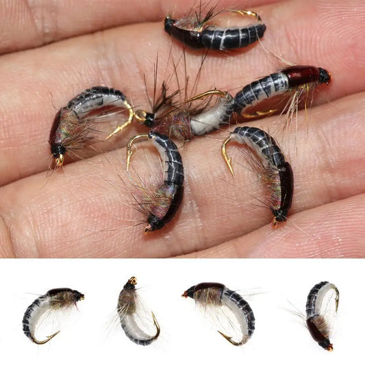 Conjunto de Iscas Artificiais para Pesca - 6 Peças (Nymph Scud Realista para Truta)