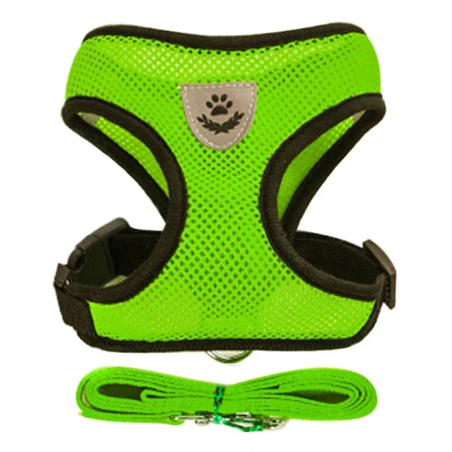 Coleira para Gatos e Cães – Colete de Caminhada com Guia Ajustável de Malha para Animais Pequenos e Médios