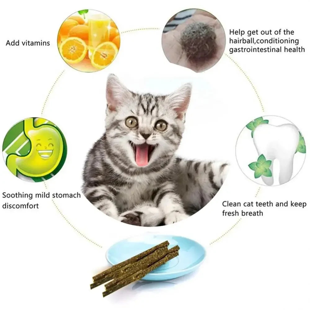 6 Peças de Bastões Naturais de Matatabi para Gatos – Vara de Hortelã Silvervine para Limpeza Dental e Brincadeiras