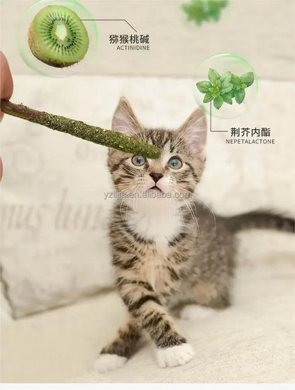 6 Peças de Bastões Naturais de Matatabi para Gatos – Vara de Hortelã Silvervine para Limpeza Dental e Diversão do Gato